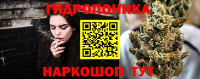 спиды Кингисепп