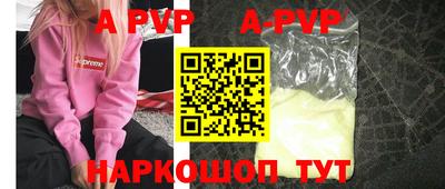 спиды Кингисепп