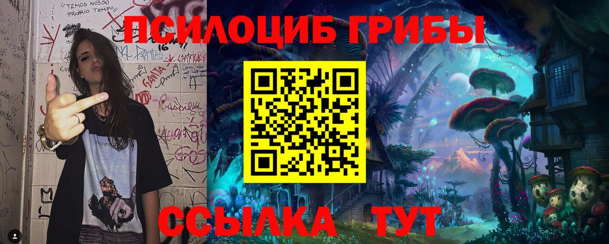 что такое   Вход с VPN  Кохма  Псилоцибиновые грибы ЛСД 