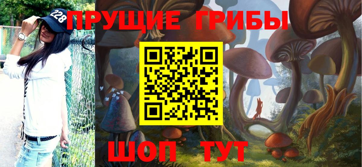 Галлюциногенные грибы Psilocybe Кохма
